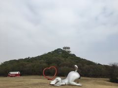 -漳州滨海火山岛自然生态风景区