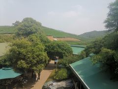 -听风阁农家私房菜茶楼(龙坞店)
