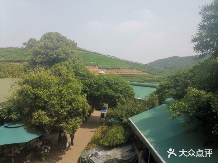 听风阁农家私房菜茶楼(龙坞店)图片