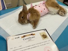 -美迦爱-牙专科·兔科·骨科诊疗中心(北苑店)