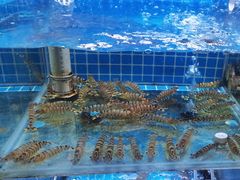 -山海蟹庐·海鲜糟粕醋火锅(慈溪店)