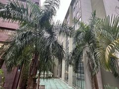 -香港大学