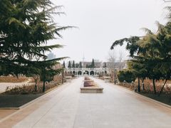 -睦南公园