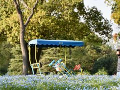 -上海滨江森林公园