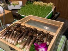 -番食园鲜食火锅(高新店)