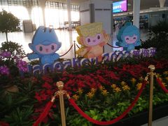-杭州萧山国际机场