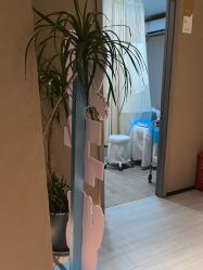 -丽都整形美容医院·全国连锁旗舰店