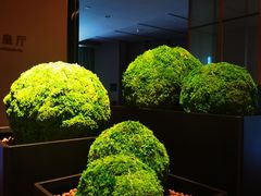-天瑞轩·粤菜餐厅