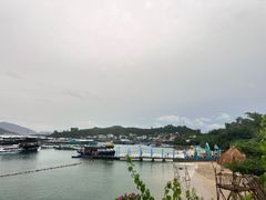 -珊瑚岛