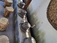 -游龙石文化科普馆