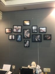 -明星刺青·洗纹身