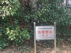 -雨花胜境