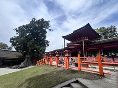 -奈良公园
