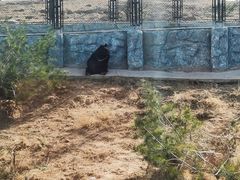-太原动物园