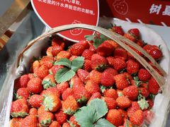 -树夏(来福士店)