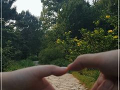 -国家植物园南园