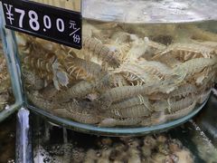 水产区-烁佳海鲜大馅饺子