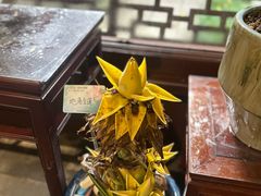 -钱王祠