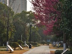 -杭州城北体育公园