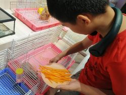 -Moni星球萌宠·小马宝莉·灵蛇·高端高阶全萌宠互动体验俱乐部(红豆国际广场店)