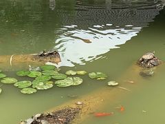 -卓刀泉寺