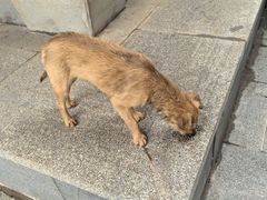 -杭州西湖风景名胜区-三生石