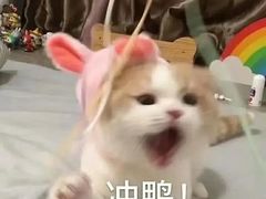 -蓉李记成都名小吃(武汉菱角湖万达店)