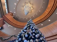 -上海明天广场JW万豪酒店