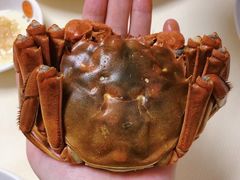 -凯盈阁·顺德私房菜·桑拿鸡