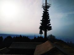 -兰山公园