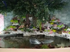 -星空布洛早教·托育(滨江店)