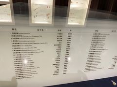-青岛贝壳博物馆