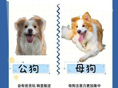 -唐小姐の猫狗洗护·购宠旗舰店(周浦万达店)
