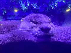 -上海海昌海洋公园