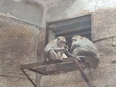 -黔灵山公园