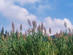 -东钱湖旅游度假区