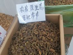 -新疆红山干果市场