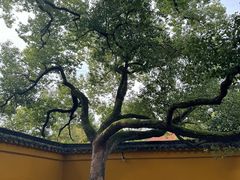-西园寺素食(西园弄戒幢律寺店)