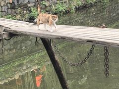 -绩溪龙川景区