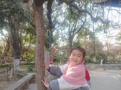 -常熟方塔园