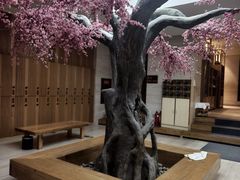 -沐泷泉(南风大剧院店)