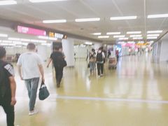 -郑州新郑国际机场-T2航站楼