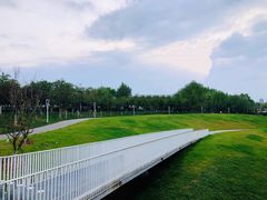 -灞河西岸滨河公园