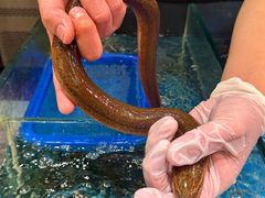 -有米粥料·海鲜粥底火锅(华强北店)