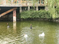 -天毓山庄·餐厅