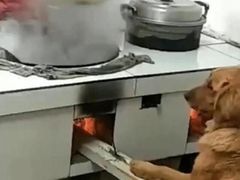 -青瓦炭韩潮烤肉(花园道店)
