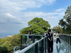 -黄埔油麻山森林公园