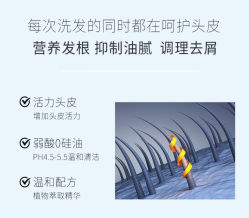 -YESIDO椰岛造型