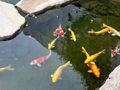 -罗红摄影艺术馆