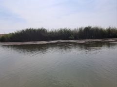 -乌梁素海景区